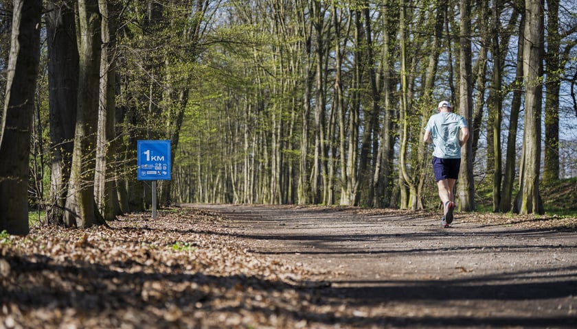 Powiększ obraz: Trasa biegowa wzdłuż Kanału Żeglugowego i Powodziowego między Mostami Chrobrego a Jagiellońskimi