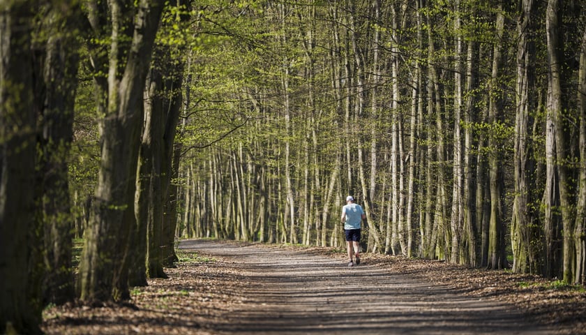 Powiększ obraz: Trasa biegowa wzdłuż Kanału Żeglugowego i Powodziowego między Mostami Chrobrego a Jagiellońskimi
