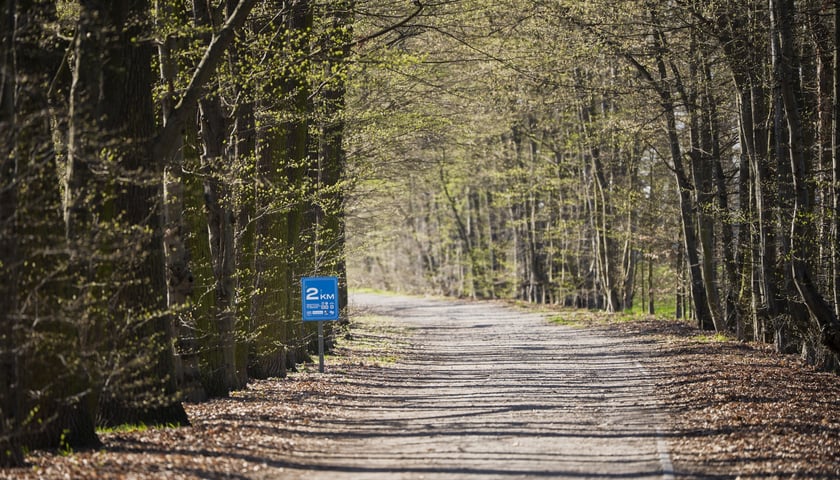 Powiększ obraz: Trasa biegowa wzdłuż Kanału Żeglugowego i Powodziowego między Mostami Chrobrego a Jagiellońskimi
