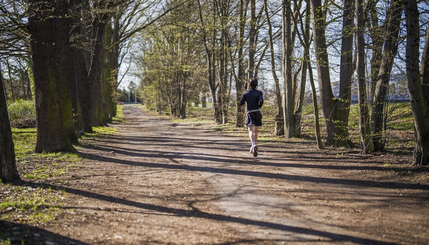 Powiększ obraz: Trasa biegowa wzdłuż Kanału Żeglugowego i Powodziowego między Mostami Chrobrego a Jagiellońskimi