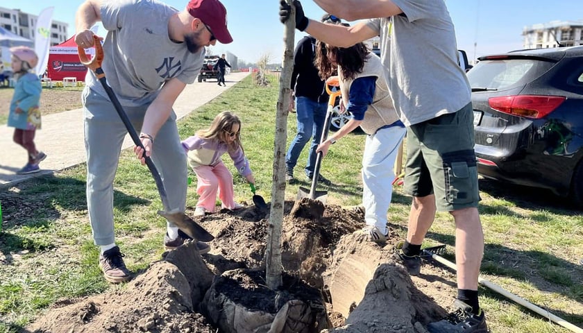 Dla Teodora drzewo posadzili rodzice Nikola i Bartek oraz siostra Gaja