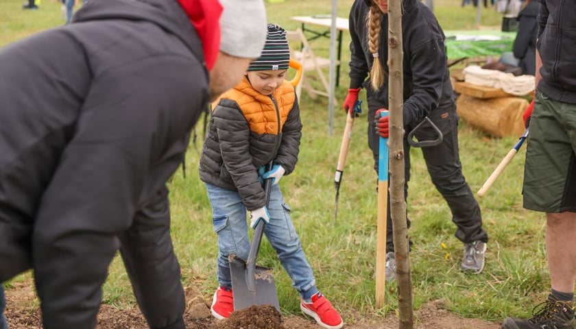 Piknik WROśnij we WROcław w powstającym parku przy ul. Rdestowej