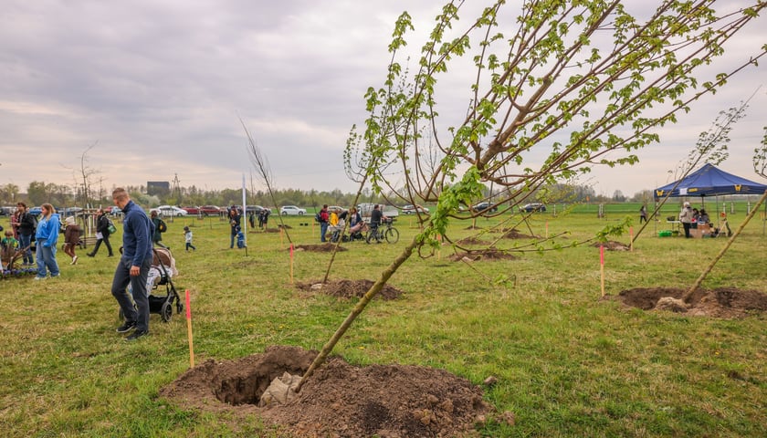 Piknik WROśnij we WROcław w powstającym parku przy ul. Rdestowej
