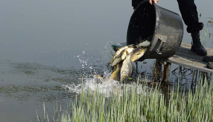 <p>Łowisko Park Glinianki</p>