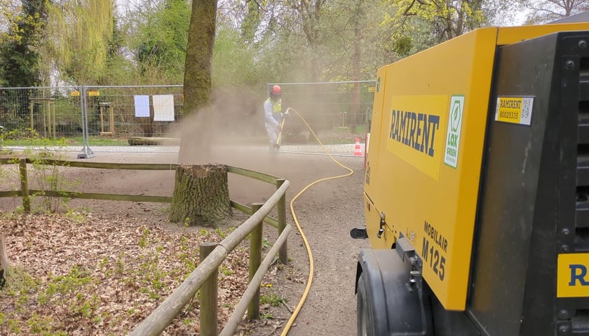 Prace w Parku Grabiszyńskim we Wrocławiu