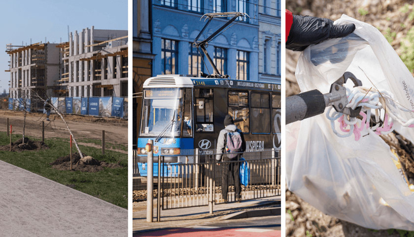 Z lewej - sadzenie nowych drzew, w środku pasażerowie czekający na tramwaj, z prawej - sprzątanie brzegów Odry