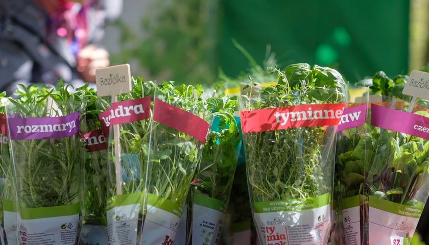 Piknik Ekologiczny „Wrocław nie marnuje” - 26.04.2026 r.