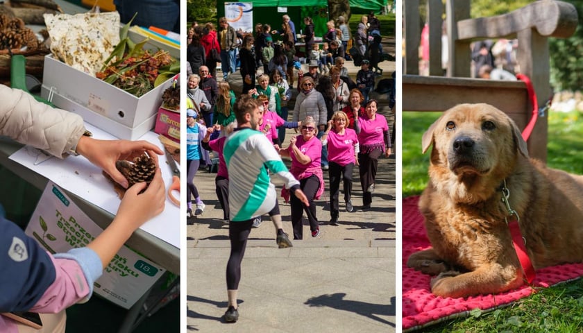 Piknik ekologiczny „Wrocław nie marnuje”