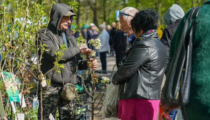 Kiermasz ogrodniczy "Pamiętajcie o ogrodach" na Partynicach, Wrocław 26.04.2026.