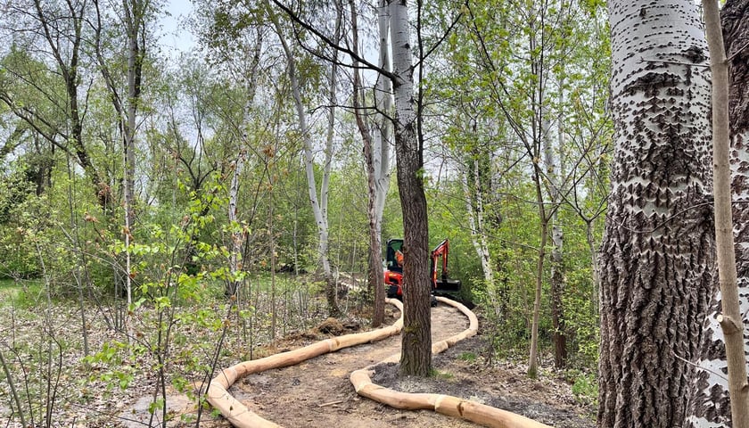 Powstający park przy ul. Idzikowskiego we Wrocławiu
