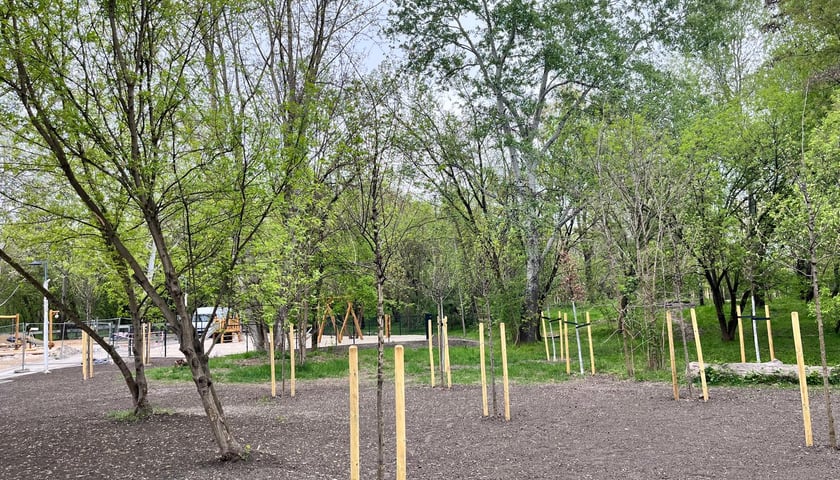 Powstający park przy ul. Idzikowskiego we Wrocławiu
