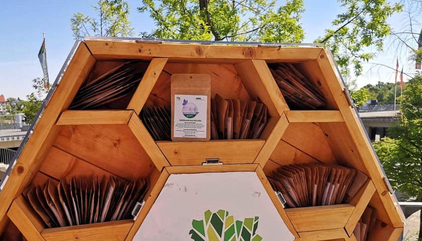 Pojemnik z nasionami