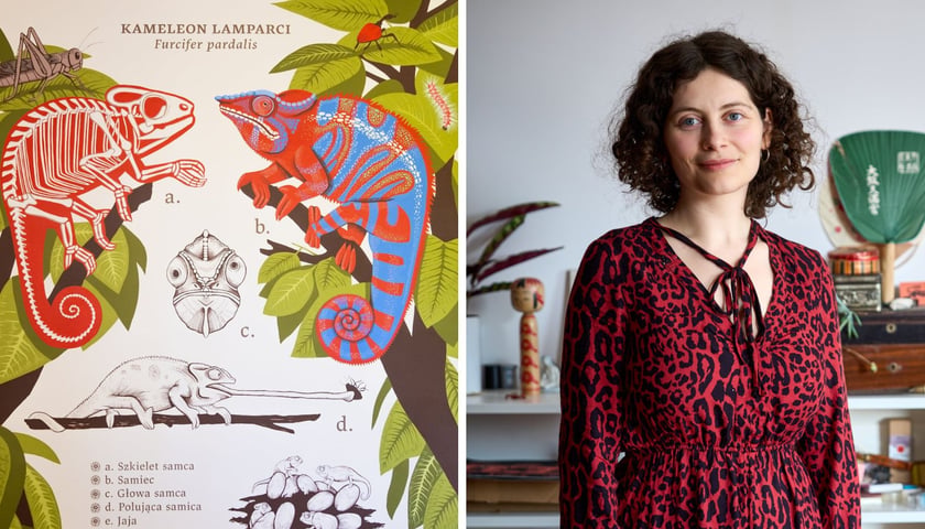 na zdjęciu z lewej mural z kameleonem lamparcim, z prawej autorka Aleksandra Czudżak