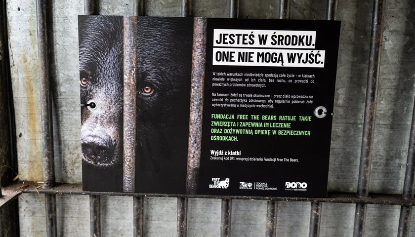 Konferencja prasowa poprzedzająca akcje "Noc w klatce" we wrocławskim zoo