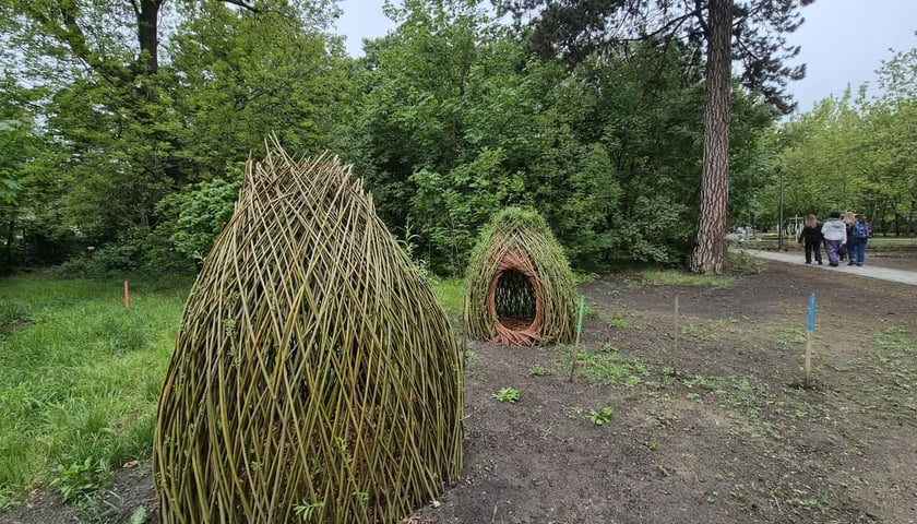 Park Młodych Ekolog&oacute;w przy Alei Kasprowicza we Wrocławiu