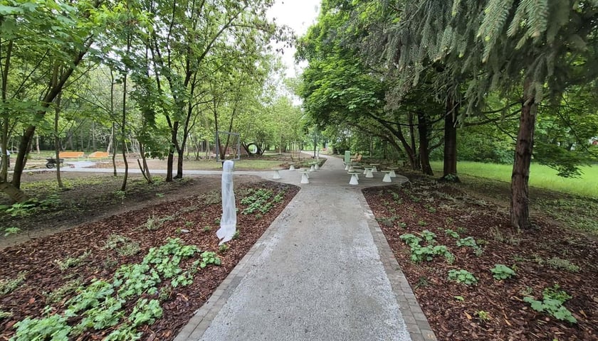 Park Młodych Ekolog&oacute;w przy Alei Kasprowicza we Wrocławiu