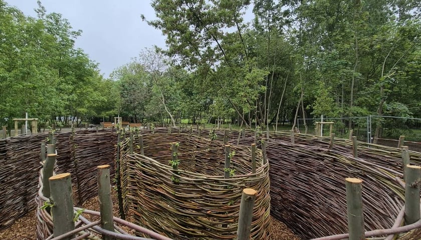 Park Młodych Ekolog&oacute;w przy Alei Kasprowicza we Wrocławiu