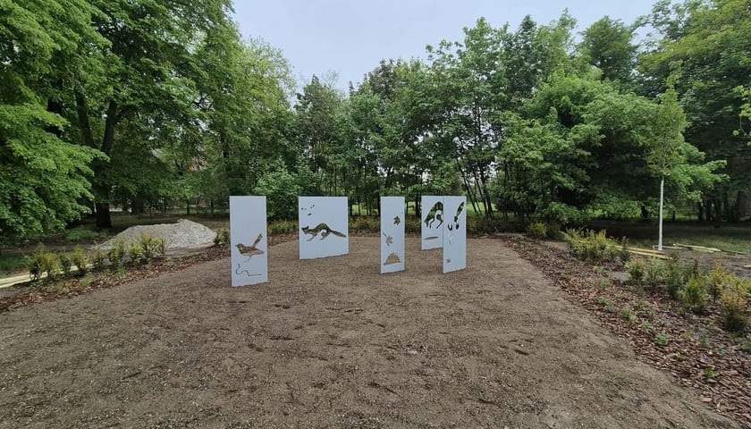 Park Młodych Ekolog&oacute;w przy Alei Kasprowicza we Wrocławiu