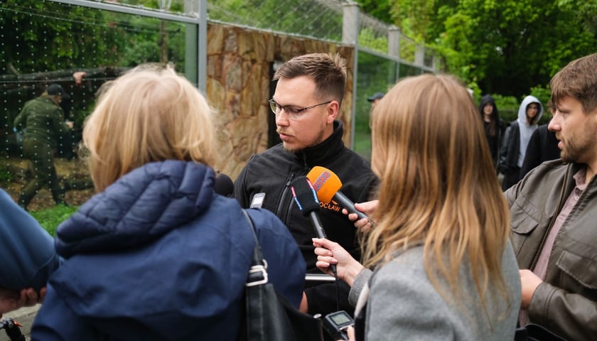Pożegnanie tygrysa o imieniu Musi, 15 maja 2026