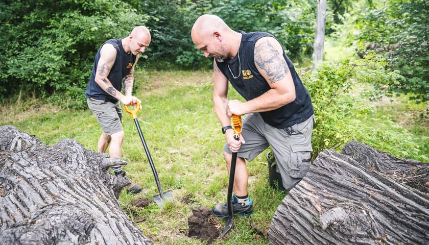 Praca opiekunów ssaków drapieżnych we wrocławskim zoo