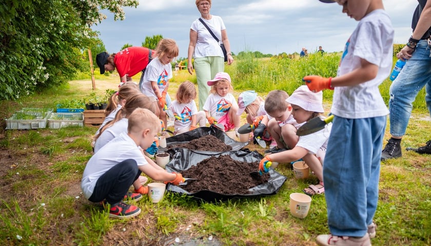 Zajęcia w strefie edukacyjnej na Farmie Miejskiej Wrocław. Na zdjęciu grupa dzieci z opiekunami bawi się w ogrodzie