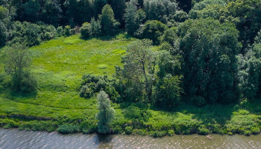 <p>Rezerwat w Lesie Pilczyckim - widok z drona</p>