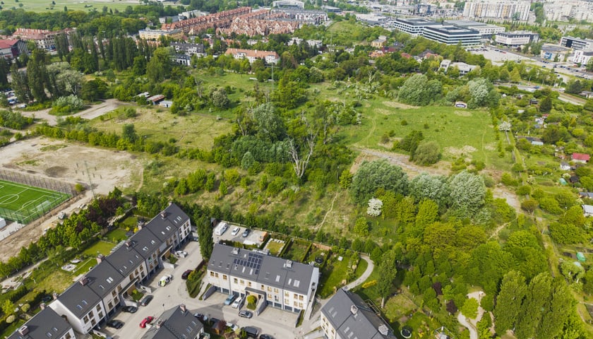 Wrocław pozyskał nowe tereny pod zieleń