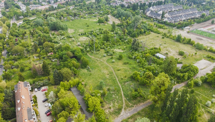 Wrocław pozyskał nowe tereny pod zieleń