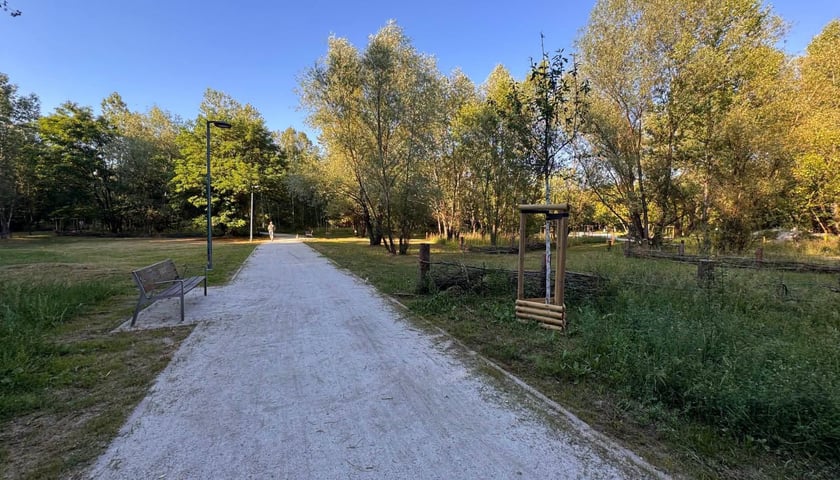 Park przy ul. Idzikowskiego