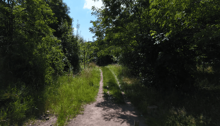 Działka na której ma powstać Park Henrykowski
