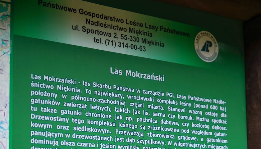 Las Mokrzański to największy las w granicach administracyjnych Wrocławia. Zajmuje powierzchnię ponad 550 hektarów