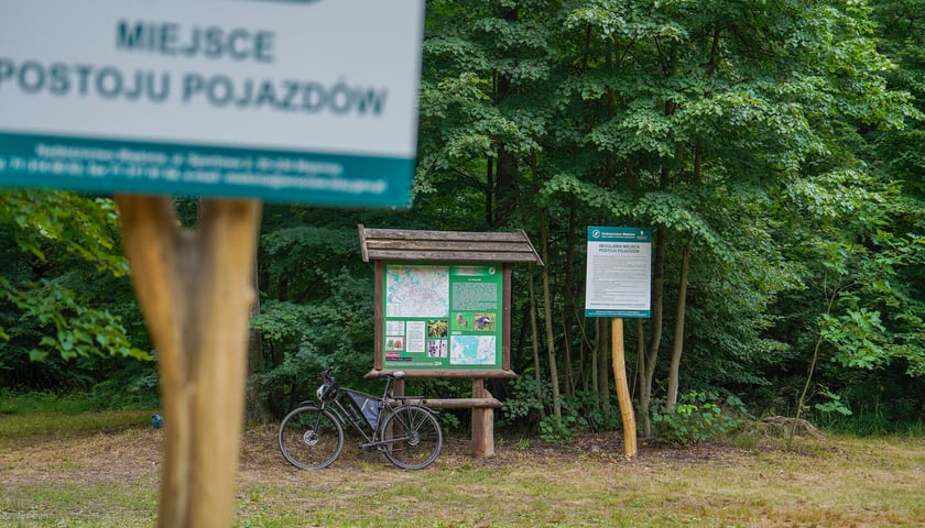 Las Mokrzański to największy las w granicach administracyjnych Wrocławia. Zajmuje powierzchnię ponad 550 hektarów