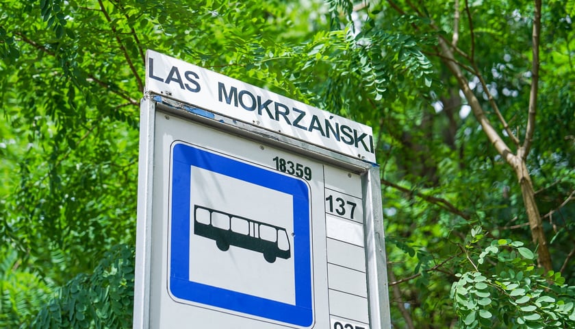 Las Mokrzański to największy las w granicach administracyjnych Wrocławia. Zajmuje powierzchnię ponad 550 hektarów