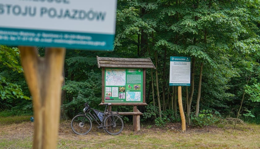Las Mokrzański to największy las w granicach administracyjnych Wrocławia. Zajmuje powierzchnię ponad 550 hektarów