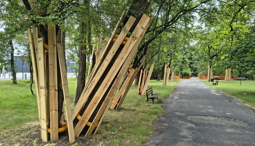 Park Szczytnicki - zabezpieczenie zieleni przed pracami remontowymi, lipiec 2026