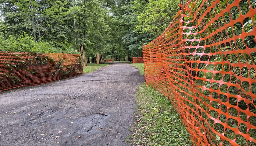 Park Szczytnicki - zabezpieczenie zieleni przed pracami remontowymi, lipiec 2026