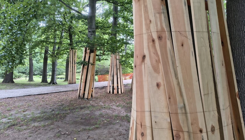 Park Szczytnicki - zabezpieczenie zieleni przed pracami remontowymi, lipiec 2026