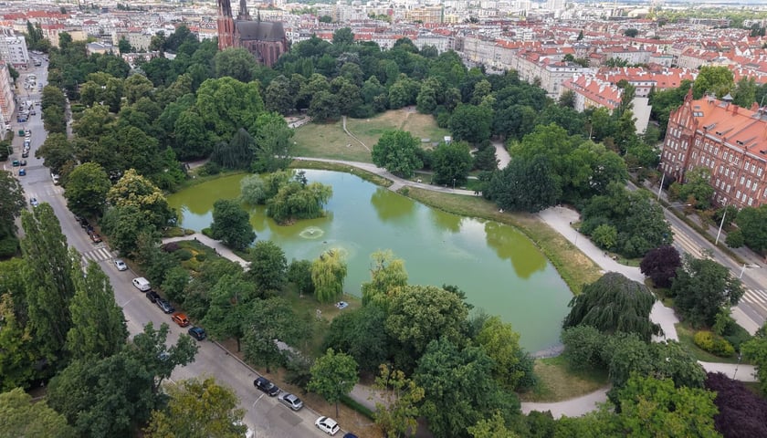 Widok na Park Tołpy z lotu ptaka.