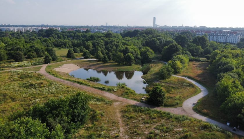 Park Krzycki we Wrocławiu, lipiec 2026