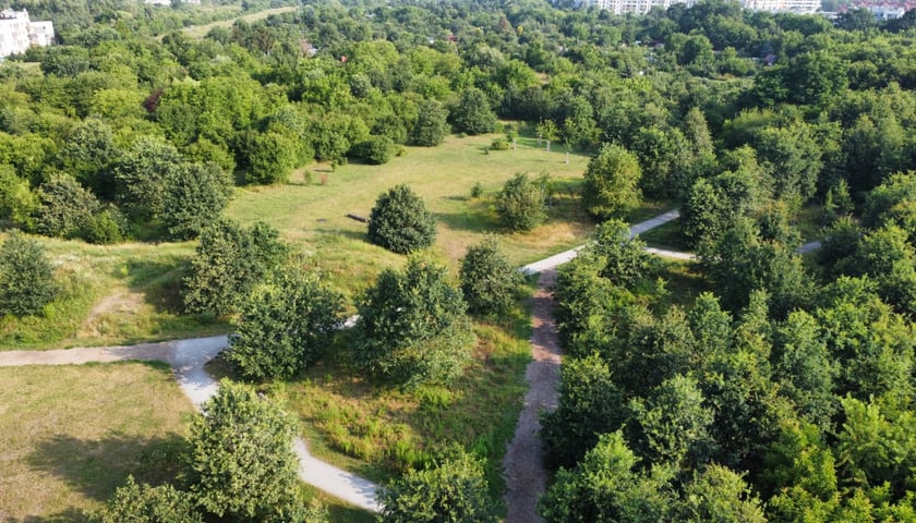Park Krzycki we Wrocławiu, lipiec 2026