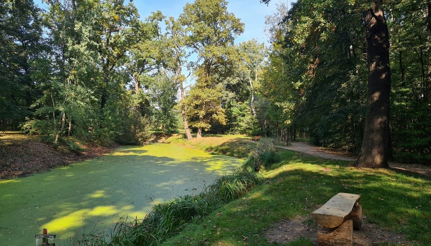 Park Świetlików