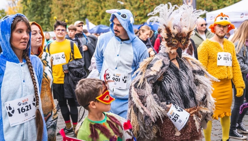 Zdjęcie ilustracyjne: Wild Run we Wrocławskim zoo w 2025 roku