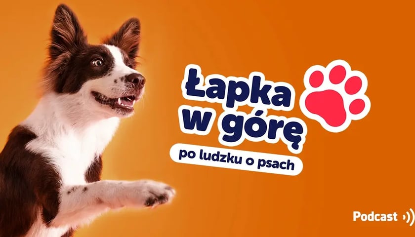 Grafika przedstawia psa z wystawioną łapką na pomarańczowym tle. Obok jest duży napis "Łapka w górę", poniżej podtytuł "po ludzku o psach". 