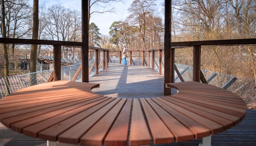<p>Kładka nad wybiegiem niedźwiedzi we wrocławskim zoo, zdjęcie z wiosny 2026</p>
