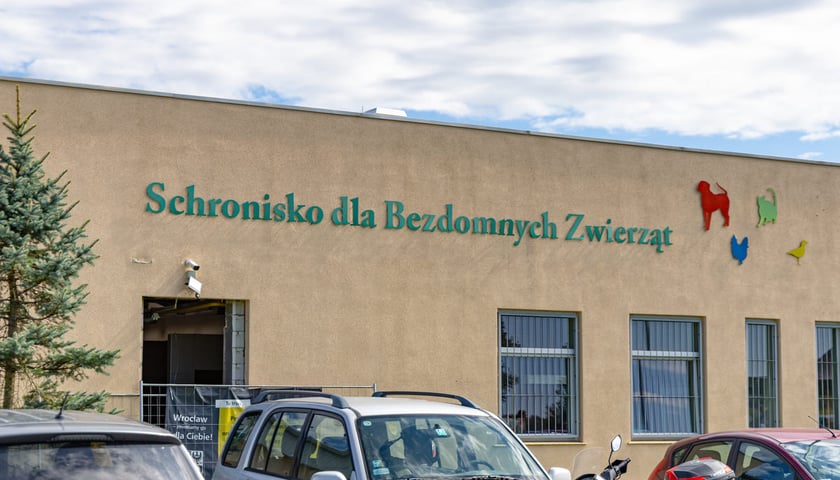 Forever Run. Charytatywny bieg w Lesie Osobowickim i piknik&nbsp; dla zwierzak&oacute;w ze schroniska przy Ślazowej. Wrocław, 30.08.2026