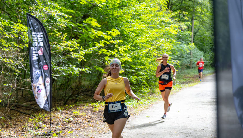 Forever Run. Charytatywny bieg w Lesie Osobowickim i piknik&nbsp; dla zwierzak&oacute;w ze schroniska przy Ślazowej. Wrocław, 30.08.2026