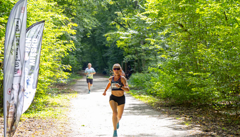Forever Run. Charytatywny bieg w Lesie Osobowickim i piknik&nbsp; dla zwierzak&oacute;w ze schroniska przy Ślazowej. Wrocław, 30.08.2026