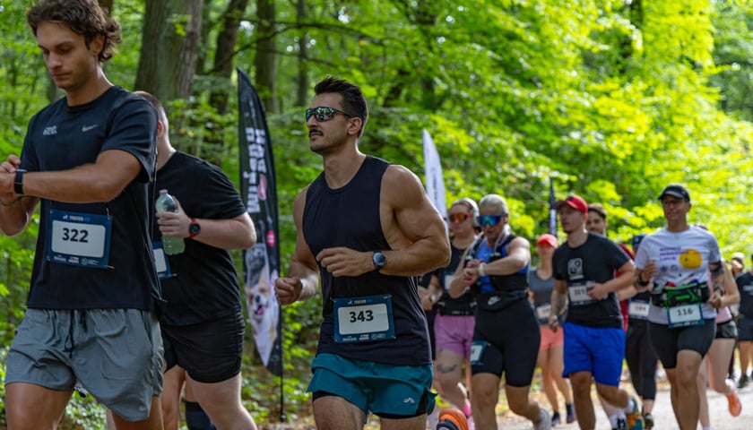 Forever Run. Charytatywny bieg w Lesie Osobowickim i piknik&nbsp; dla zwierzak&oacute;w ze schroniska przy Ślazowej. Wrocław, 30.08.2026