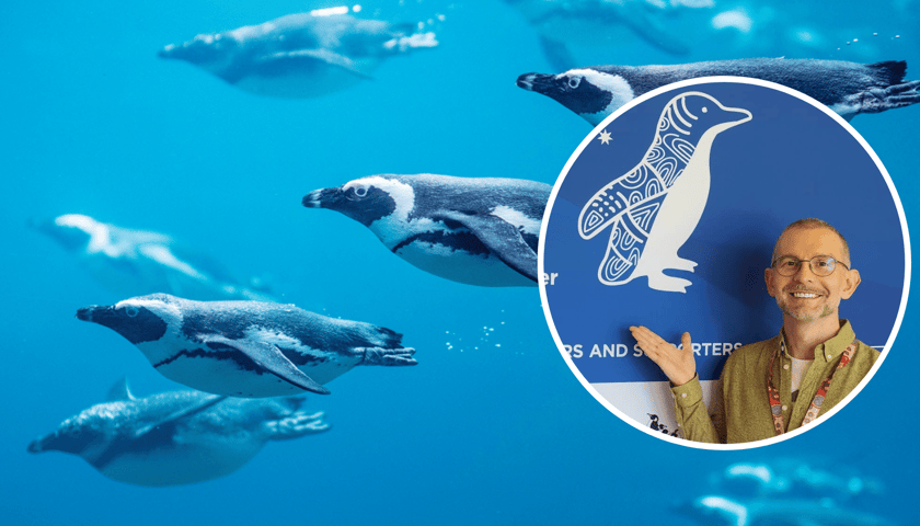 Kolaż zdjęć: w kółku Paweł Borecki, związany z wrocławskim zoo naukowiec, w tle zdjęcie pingwinów przylądkowych we wrocławskim Afrykarium