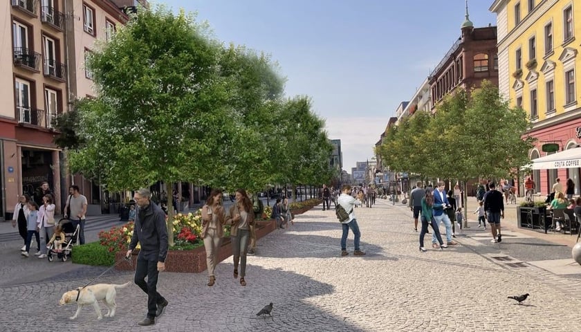 Tak ma wyglądać zazieleniona ulica Świdnicka 